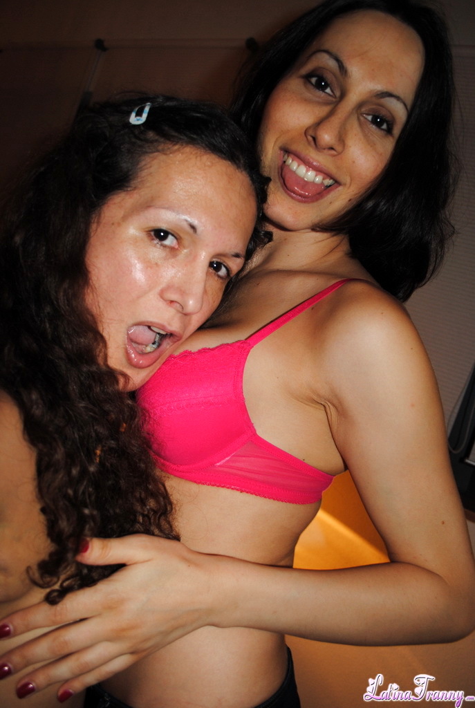 Switzerland With Transexuals